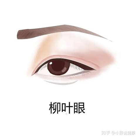 瑞鳳眼女|如何判断自己是哪种类型的眼睛？